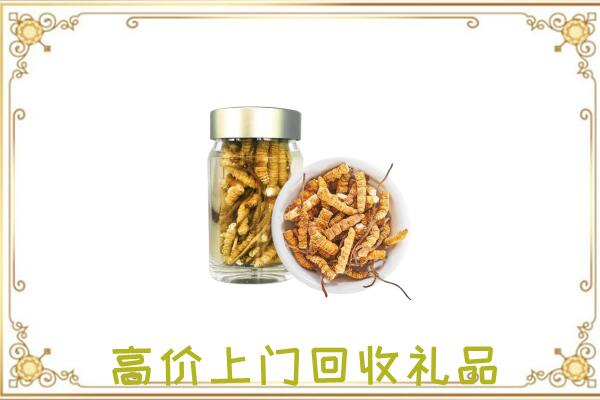 锡林郭勒周边回收虫草